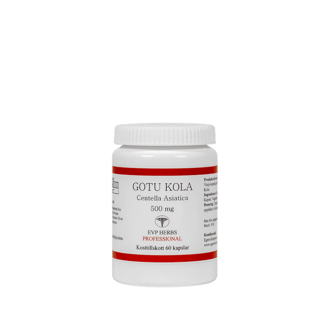 Hovedbilde Gotu Kola