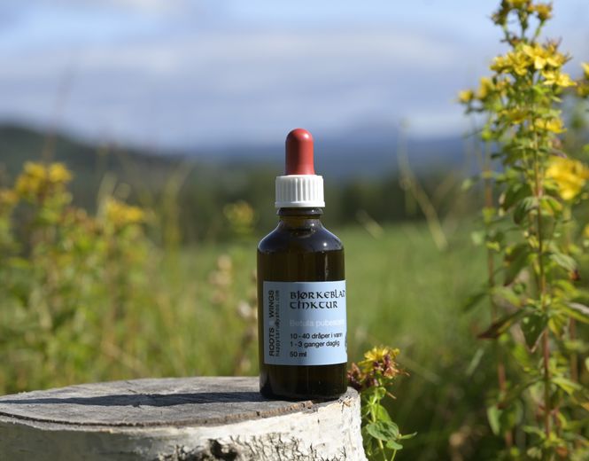Hovedbilde Bjørkeblad tinctur 50ml